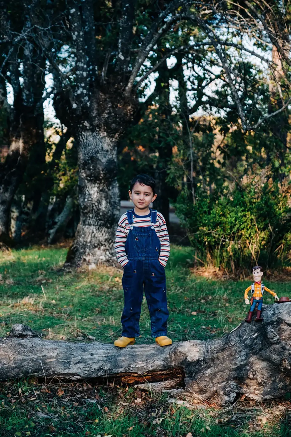 Boy sitting on a fallen tree trunk in a park